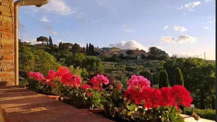 Leonaerdo Guests House Apartment Panicale Bagian luar foto